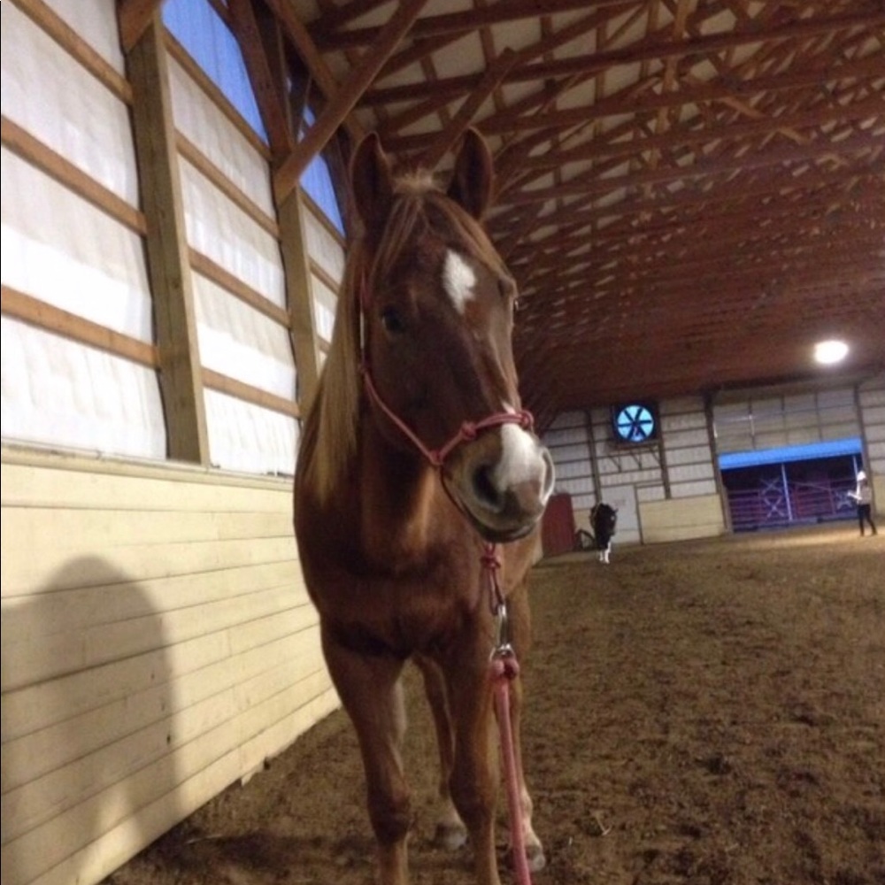 Myself   🥾👀🐎🤔👛🤘👍👊🖐 - Picture 2 of 3